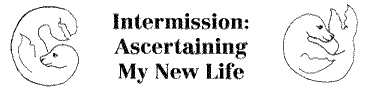 Intermission: Ascertaining My New Life