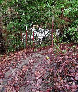 Skid trail starting at the end of Ridgewood Dr.