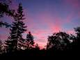 [button photo of an unusually colorful sunset, taken from my back deck]