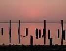 [button photo view of a peachy sunset, south of Eureka, off Hwy 101.]