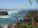 [thumbnail of CA Hwy 101 coastline, somewhere north of Eureka, CA.]