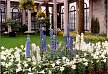 [button photo of flowers in the main court of Longwood Gardens, PA]